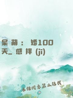 呆媽萌寶：試婚100天