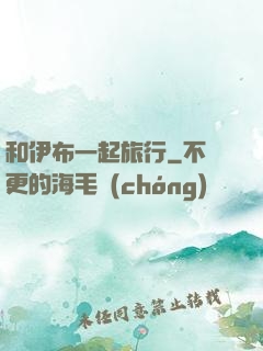 和伊布一起旅行