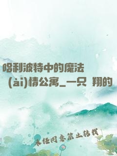 哈利波特中的魔法師與愛(ài)情公寓