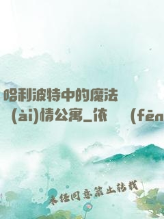 哈利波特中的魔法師與愛(ài)情公寓