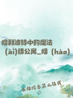 哈利波特中的魔法師與愛(ài)情公寓