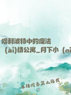 哈利波特中的魔法師與愛(ài)情公寓
