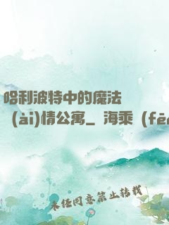 哈利波特中的魔法師與愛(ài)情公寓