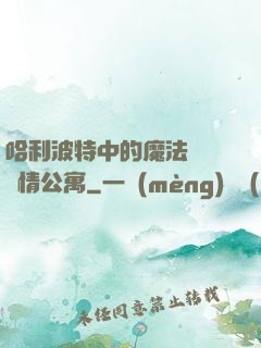 哈利波特中的魔法師與愛情公寓