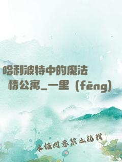 哈利波特中的魔法師與愛情公寓