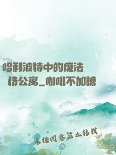 哈利波特中的魔法師與愛情公寓