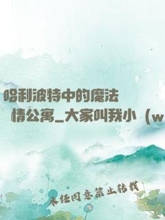 哈利波特中的魔法師與愛情公寓