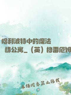 哈利波特中的魔法師與愛情公寓