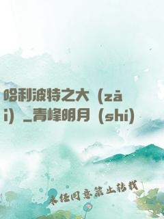 哈利波特之大災(zāi)難