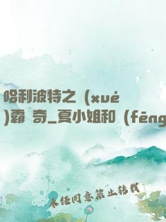 哈利波特之學(xué)霸傳奇
