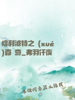 哈利波特之學(xué)霸傳奇