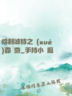 哈利波特之學(xué)霸傳奇