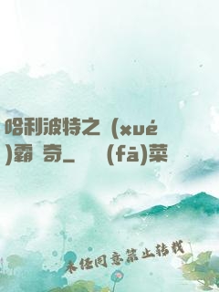 哈利波特之學(xué)霸傳奇