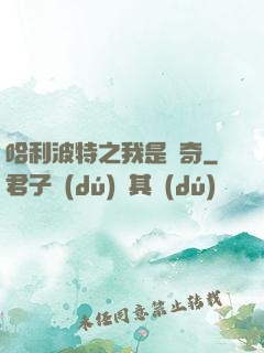 哈利波特之我是傳奇