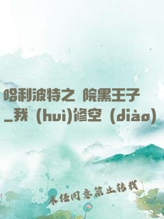 哈利波特之獅院黑王子