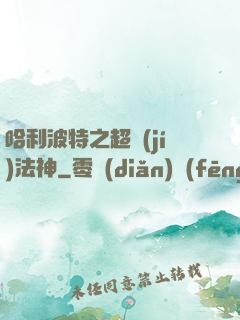 哈利波特之超級(jí)法神