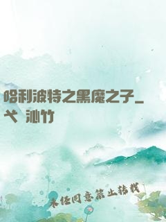 哈利波特之黑魔之子