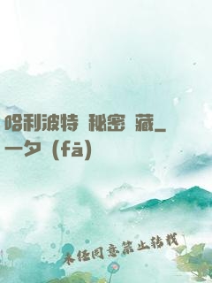 哈利波特與秘密寶藏