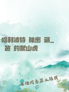 哈利波特與秘密寶藏