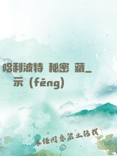 哈利波特與秘密寶藏
