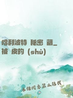 哈利波特與秘密寶藏