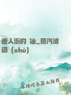 唐人街的廚仙