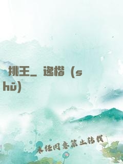 單挑王