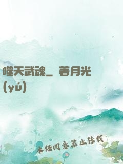 噬天武魂