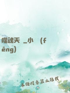 噬魂天書