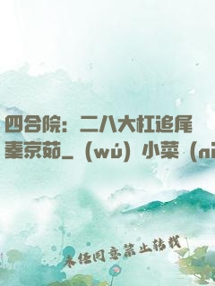 四合院：二八大杠追尾秦京茹