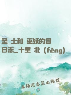 圣騎士和瘋巫妖的冒險日志