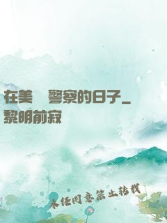在美國當警察的日子