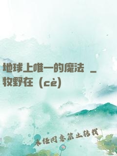 地球上唯一的魔法師