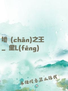 地產(chǎn)之王