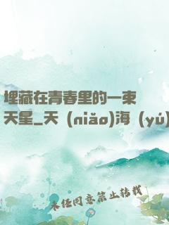 埋藏在青春里的一束滿天星
