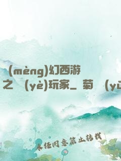 夢(mèng)幻西游之職業(yè)玩家
