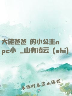 大佬爸爸們的小公主npc小說