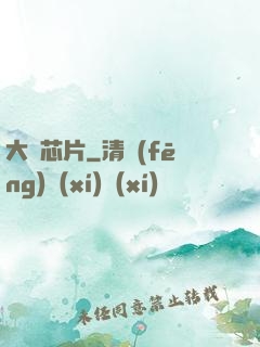 大國芯片