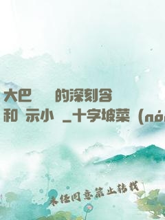 大巴車輪軒的深刻含義和啟示小說