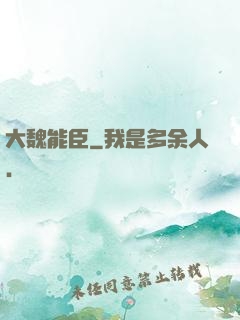 大魏能臣