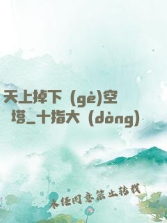 天上掉下個(gè)空間塔