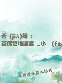 天價(jià)萌寶：首席爹地追妻記