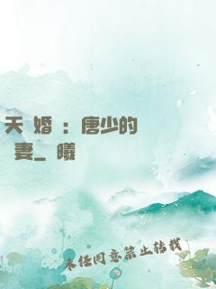 天價婚愛：唐少的終極寵妻