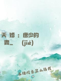 天價婚愛：唐少的終極寵妻