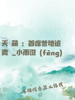 天價萌寶：首席爹地追妻記