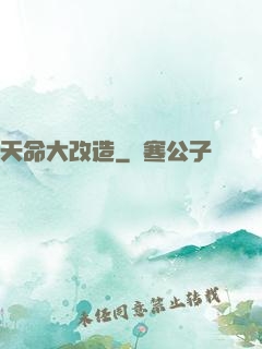 天命大改造