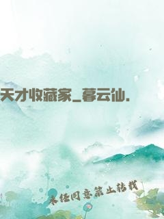 天才收藏家