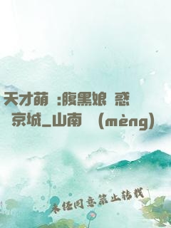 天才萌寶:腹黑娘親惑亂京城