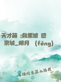 天才萌寶:腹黑娘親惑亂京城