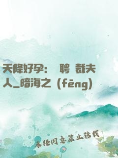 天降好孕：誠聘總裁夫人